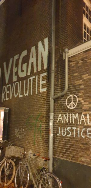 Vegan Revolution at Rebel Rebel in Dordrecht