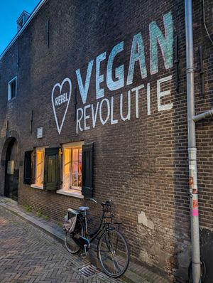 💚 at Rebel Rebel in Dordrecht