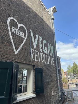 wall  at Rebel Rebel in Dordrecht