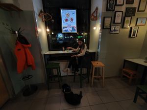 & happy dog 🐕♥️🌺 at Krowarzywa - Marszalkowska in Warsaw