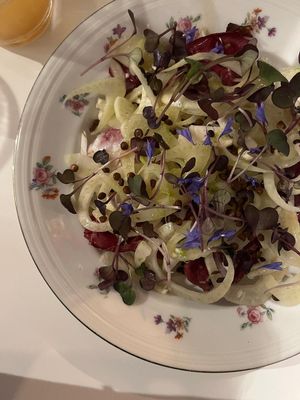 Raddichio fennel at Lokaal in Ghent