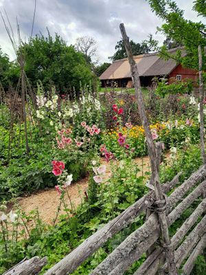 beautiful garden at Linnes Rashult in Almhult