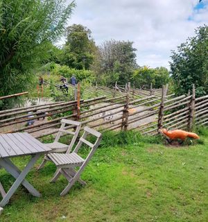 animal figurines in the garden for kids to play at Linnes Rashult in Almhult