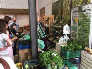 bio veggies and fresh herbs  at BioBazar in Warsaw