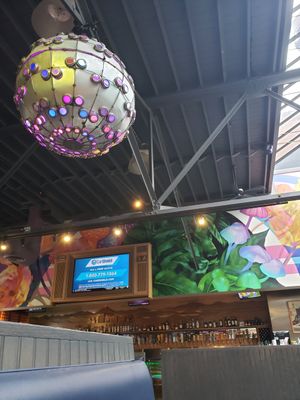  at Mellow Mushroom in Asheville