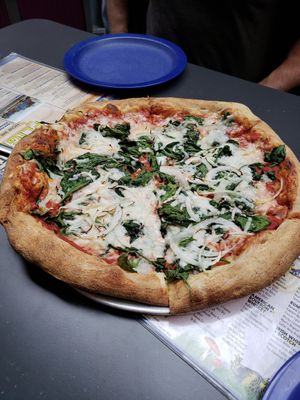  at Mellow Mushroom in Asheville