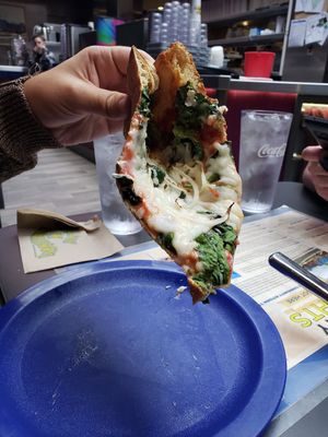  at Mellow Mushroom in Asheville