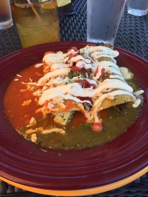 Tofu and wild mushroom enchiladas with red and green sauce at Mexican Radio in Schenectady