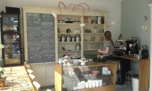 Inside Anat at Anat in Groningen