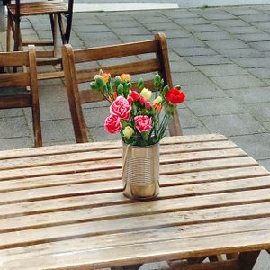 . at Anat in Groningen