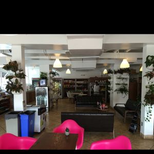 nice place  at Plant Theory in Miami