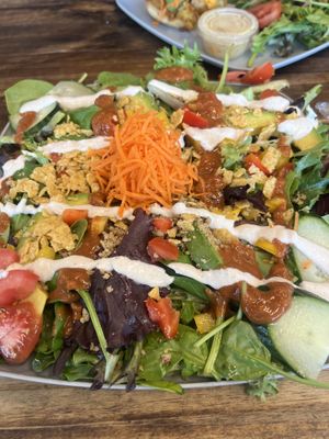   at Plant Theory in Miami