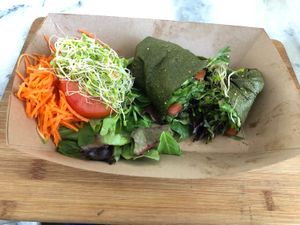 “Raw Wrap” marinated mushrooms with salad fixings.  Tortilla made from apples and spinach.  A beautiful low-fat raw concept!  Would love to see more options like this! at Plant Theory in Miami