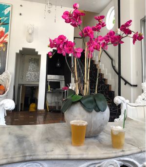 “Kombucha” on tap and a “Kombucha Float.” at Plant Theory in Miami
