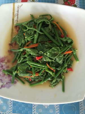 Chayote at Qun Gengyuan in Chiang Mai