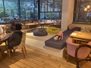 Inside ; the dog seems happy! at Yi in Athens