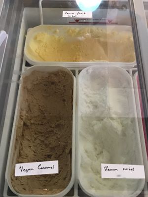 vegan ice cream and sorbets  at Eldur og Is - Fire and Ice in Reykjavik