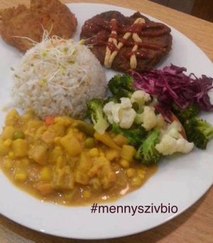 Vegan menu at Mennyorszag Szive in Budapest