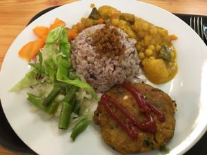 medium sized daily meal with soy pattie, rice and a mild veggie curry at Mennyorszag Szive in Budapest