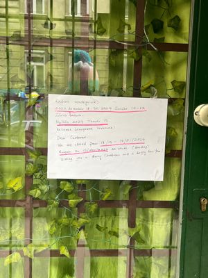   at Mennyorszag Szive in Budapest