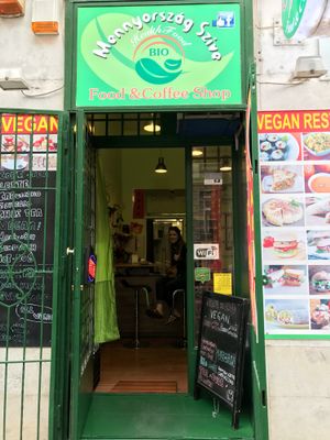 Outside looks like this at Mennyorszag Szive in Budapest