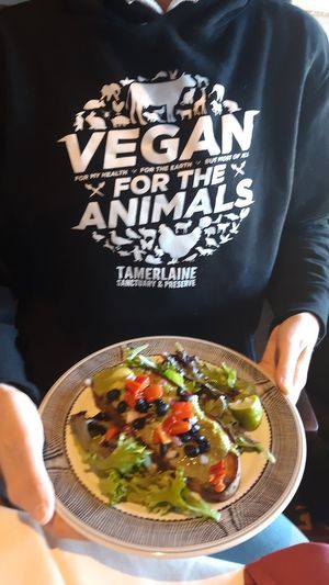 Avocado toast ...no cheese at El Tovar & The Side Room in Grand Canyon Village