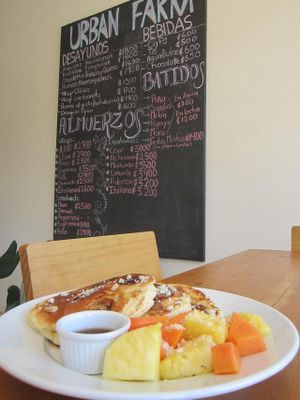 Pancakes Hawaiianos con Frutas  at Urban Farm Cafe in San Isidro De El General