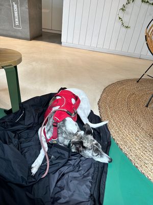   at JuiceBrothers - Van Woustraat in Amsterdam