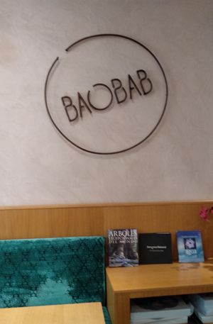 Interior at Baobab in Zaragoza