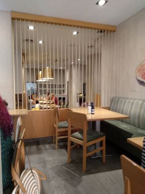 Interior at Baobab in Zaragoza