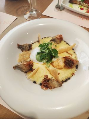  at Baobab in Zaragoza