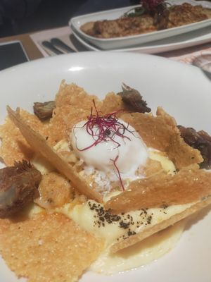  at Baobab in Zaragoza