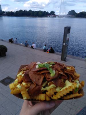 Gyros Fries at VINCENT - Europa Passage in Hamburg