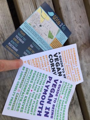 Flyers - taken by my S West England contact Mr P at Good2Go - Food Trailer in Perranporth