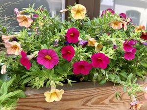 outside at Cafe Gluecklich in Wismar