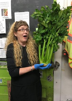 amazing local produce! at Olympia Food Co-op - Westside in Olympia