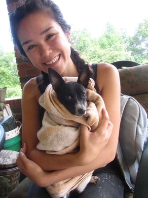New sanctuary resident pup at Wild Earth Farm and Sanctuary in Irvine