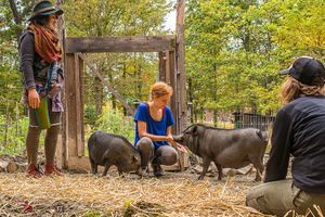 "Meet the Animals" tour. at Wild Earth Farm and Sanctuary in Irvine