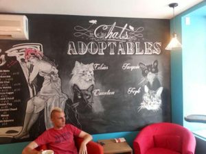 Chalk drawings of the adoptable cats at Cafe Venosa! 3 of these guys already have permanent homes lined up! at Venosa Cafe in Montreal