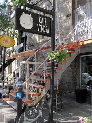 Outside on Saint-Denis. at Venosa Cafe in Montreal