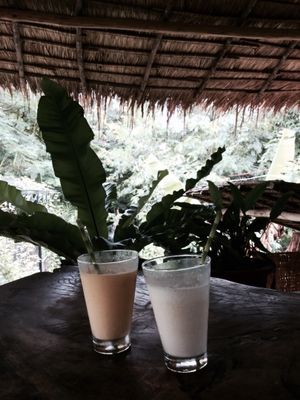 Papaya and orange smoothie at Deva in Kampot