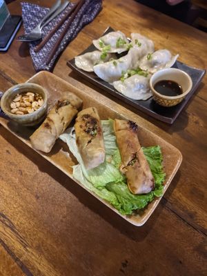 Dumplings & fried spring rolls at Deva in Kampot