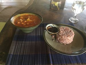 Jackfruit curry + brown rice at Deva in Kampot