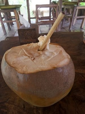 Fresh coconut at Deva in Kampot