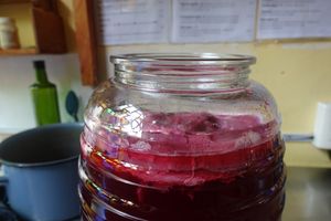 homemade kombucha at Delicias Naturales in San Cristobal De Las Casas