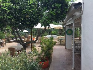 Outside seating  at EcoCentro in Ibiza