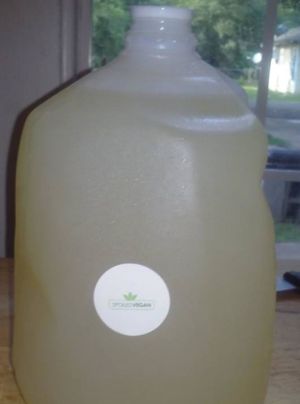 Ginger lemonade  at The Spoiled Vegan in Monroe