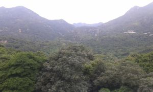 10 at Kwun Yam Temple in Outlying Islands