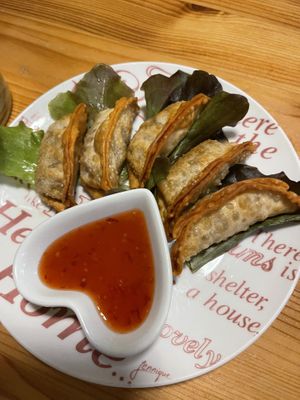 Fried dumplings   at Loving Hut in Amsterdam