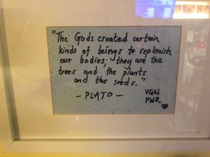 Plato sign at Loving Hut in Amsterdam